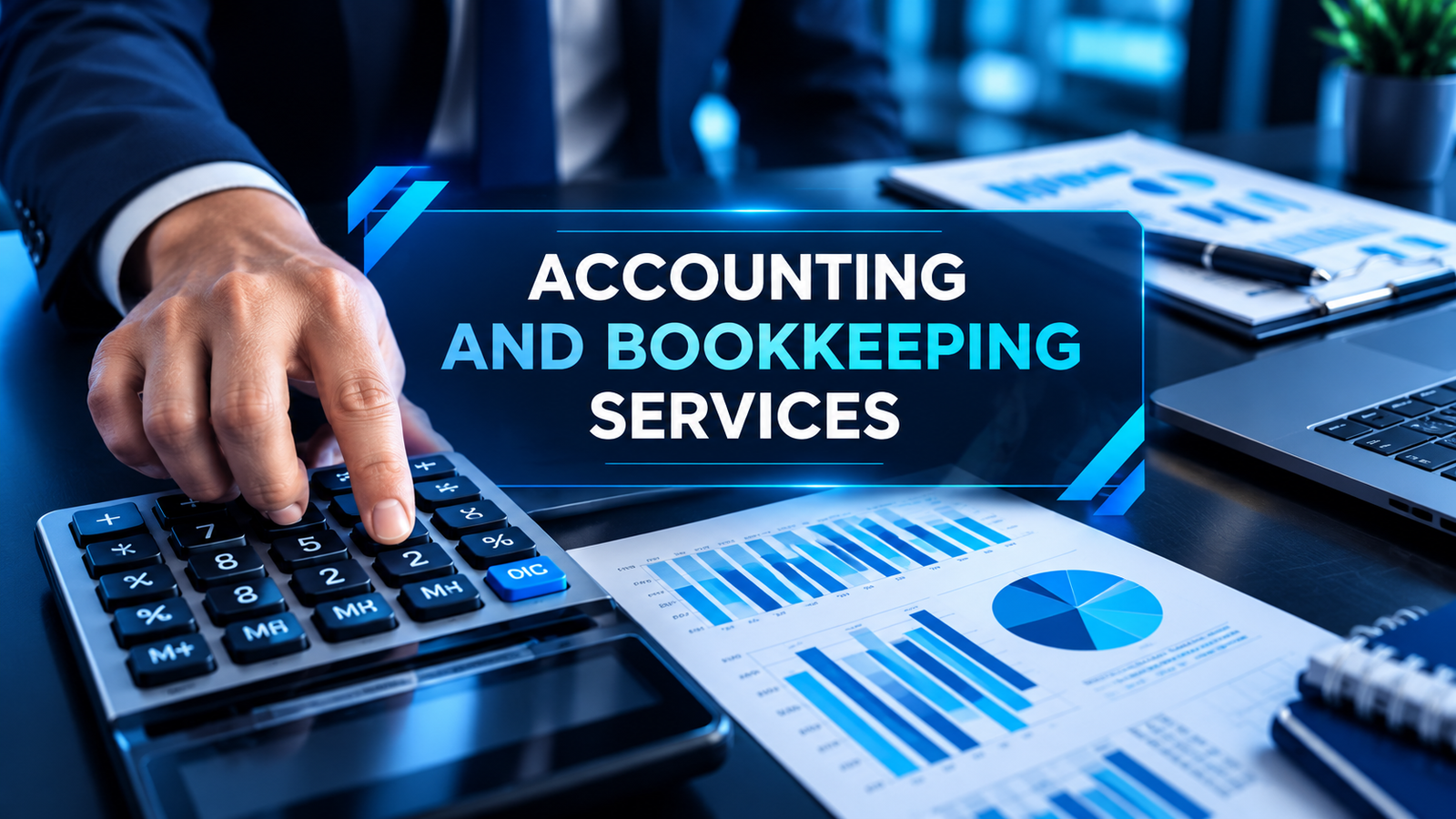 Professional accounting and bookkeeping services for businesses