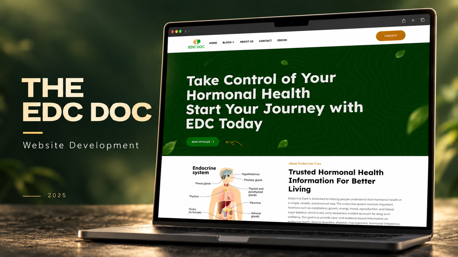 The EDC Doc